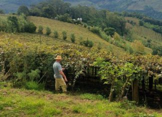 BNDES LANÇA LINHA DE CRÉDITO PARA DÍVIDAS RURAIS