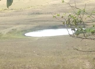 Homem joga filho com pés e mãos amarradas em açude em Feira de Santana