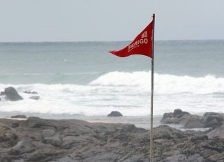 “Sereio de Itapuã”: salva-vidas relatam busca por criatura misteriosa