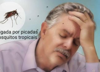 Casos de dengue crescem 535% na Bahia no 1º semestre