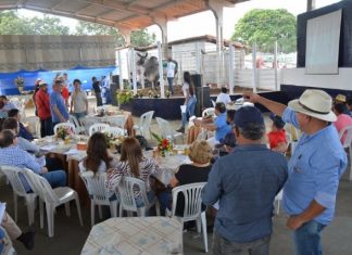 Leilões no Parque de Exposição durante Expofeira renderam R$ 1,3 milhão