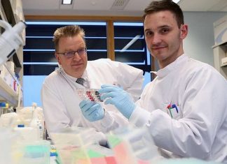 Célula que poderá tratar qualquer tipo de câncer é descoberta de forma acidental