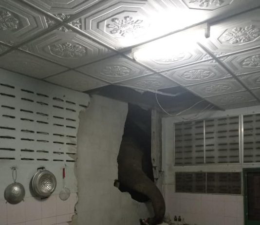 Elefantes nunca esquecem: animal volta a invadir cozinha em busca de comida na Tailândia
