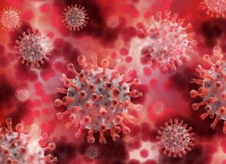 Bahia registra 345 novos casos de Covid-19 e mais 4 óbitos pela doença