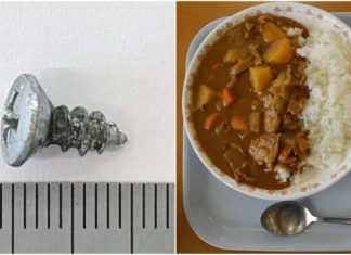 Estudante encontra parafuso dentro da merenda em escola do Japão