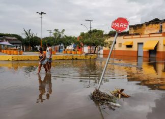 Bahia registra 46 casos de leptospirose neste ano