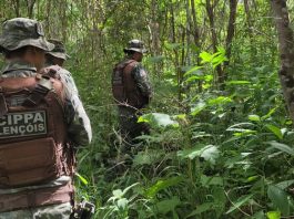 Cerca de 100 pessoas foram detidas por crimes ambientais em um ano e meio, na Bahia