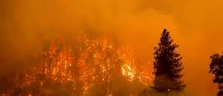 Califórnia registra maior incêndio do ano, e 2.000 moradores deixam casas