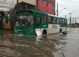 CCZ intensifica o combate à leptospirose no período de alta estação em Salvador