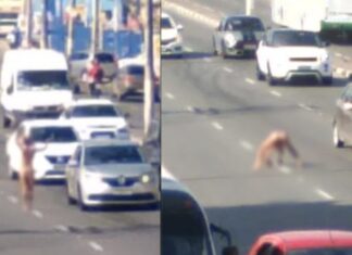 Lauro de Freitas: mulher faz acrobacias pelada no meio de rodovia