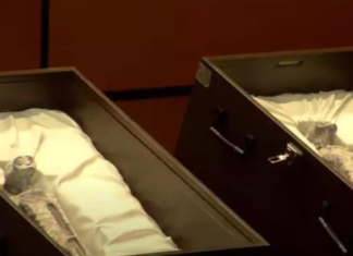 Médico afirma que testes em supostos aliens são reais: “Não humanos”