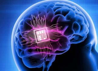 Empresa de Elon Musk abre inscrições para testar chips cerebrais em humanos