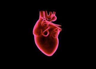 Após quase dois anos, transplante de coração voltará a ser realizado na Bahia