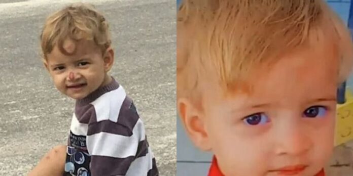 menino_atacado_pitbull_teixeira_widelg_widelg