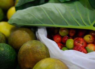 Saiba quais alimentos devem ou não ser consumidos para prevenção do câncer