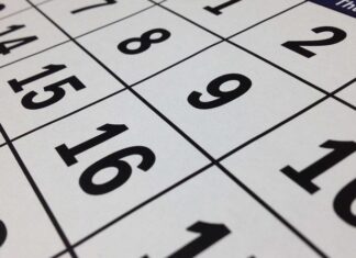 2024: Confira os feriados prolongados do próximo ano bissexto