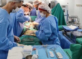 Após quase dois anos, Bahia volta a realizar transplantes de coração