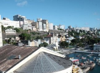 Salvador sedia workshop para debater avanços sobre o transplante capilar no cabelo afro