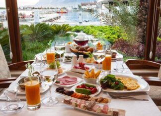 Conheça 10 hábitos que aumentam a longevidade e qualidade de vida