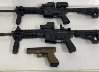 Deputada bolsonarista quer que estados legislem sobre armas