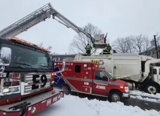 Mulher é compactada quatro vezes após cair em caminhão de lixo; saiba detalhes
