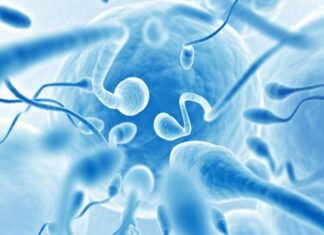 Mulher conquista vitória ao obter sêmen do marido morto; entenda