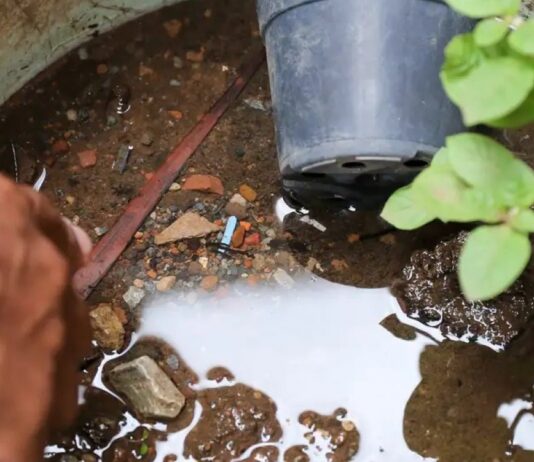 Bahia tem aumento de 100% em casos prováveis de dengue em relação a 2023