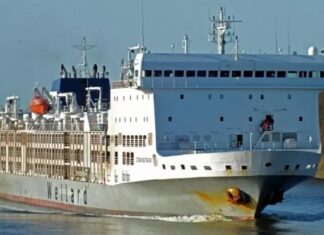 Embarcação com 16 mil animais é abandonada após ameaça; entenda