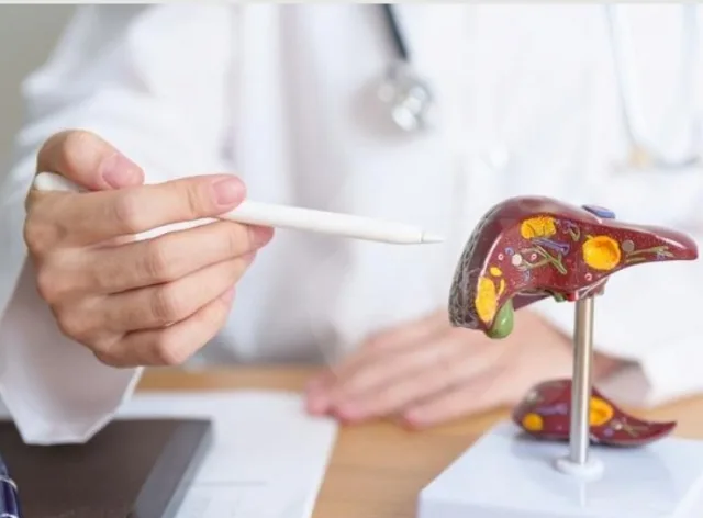 Figado-hepatites-foto-ag-Einstein-jpeg