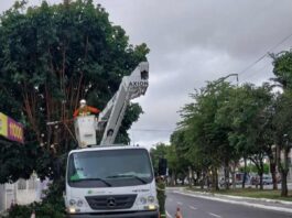 Neoenergia Coelba e Prefeitura de Feira de Santana realizam mais de 200 podas durante mutirão em Feira de Santana