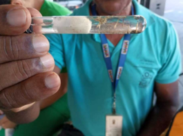 Bahia reforça combate à dengue durante Semana Nacional de Mobilização