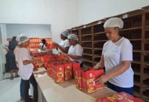 Dispensário Santana reforça tradição de mais de 20 anos com produção de panetones natalinos