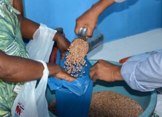 Distribuição de sementes para pequenos agricultores deve ocorrer dia 19 de março