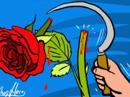 Beleza fatal: que peso carregam as pessoas muito bonitas?