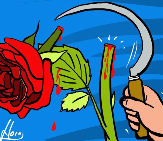 Beleza fatal: que peso carregam as pessoas muito bonitas?