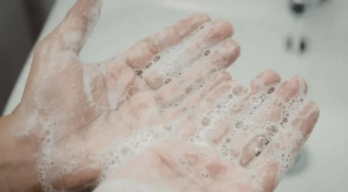 Higienizar as mãos e cuidar da alimentação são formas de evitar virose no Carnaval