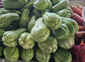 Preço do chuchu sofre reajuste no Centro de Abastecimento de Feira de Santana