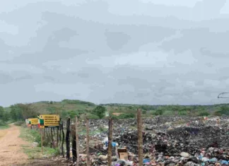Antônio Cardoso inicia processo de humanização do lixão e destina 6 toneladas a aterro sanitário em Feira de Santana