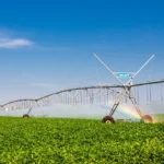 O Brasil reconhece o Brasil