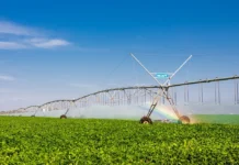 O Brasil reconhece o Brasil