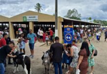 Prefeitura de Feira cria Comissão Organizadora para a Expofeira 2026