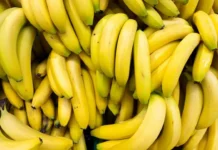 Nem geladeira, nem fruteira: onde guardar bananas para durar mais