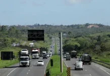 BR-116 e BR-324: leilão define nova administração de trechos na Bahia
