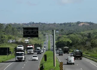 BR-116 e BR-324: leilão define nova administração de trechos na Bahia