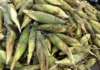 Produtos típicos já podem ser encontrados no Centro de Abastecimento em Feira de Santana