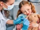 Quando é hora de trocar o odontopediatra pelo dentista de adulto?