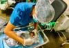 Hospital da Mulher intensifica conscientização sobre a vacina da BCG em recém-nascidos