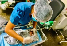 Hospital da Mulher intensifica conscientização sobre a vacina da BCG em recém-nascidos