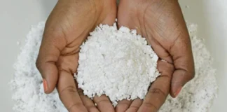 Tarifaço dos EUA afetará 245 produtos da Bahia; celulose solúvel é a maior preocupação