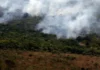 Observatório registra menor nível de emissões de gases do efeito estufa desde 2003